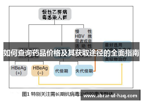 如何查询药品价格及其获取途径的全面指南